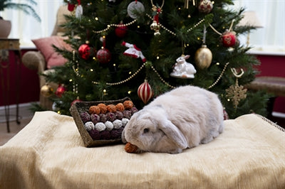 Cupid & Comet Advent Gift 'N' Forage Truffel Schaal